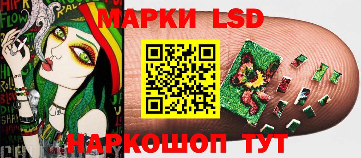 Вятские Поляны  Марки NBOMe 1500мкг  Вход с VPN  Марки NBOMe 1500мкг 