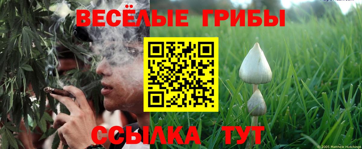 Галлюциногенные грибы GOLDEN TEACHER Вятские Поляны